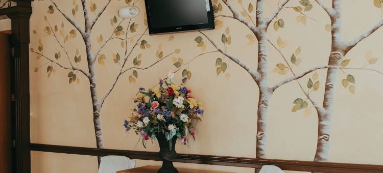 卡森城广场酒店(Carson City Plaza Hotel)图片