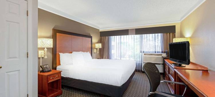 新奥尔良机场拉昆塔温德姆套房酒店(La Quinta Inn & Suites by Wyndham New Orleans Airport)图片