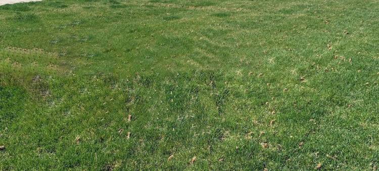 凯艺酒店(Quality Inn Gillette I-90 East)图片