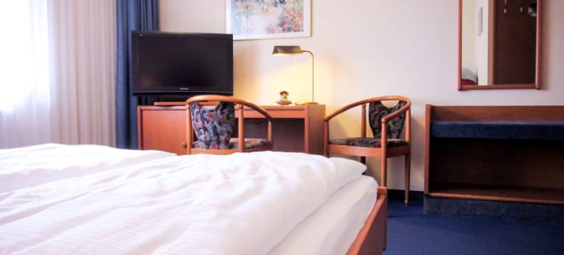 花卉酒店(Hotel Zur Flora)图片