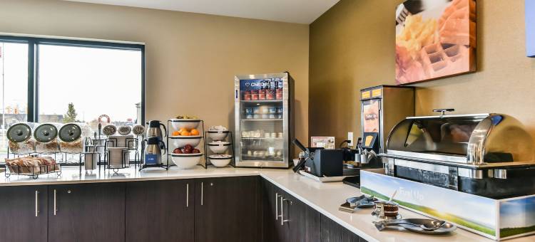 温莎舒适酒店(Comfort Inn)图片