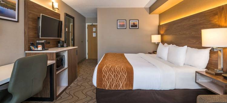 舒适酒店湖滨店(Comfort Inn Lakeshore)图片