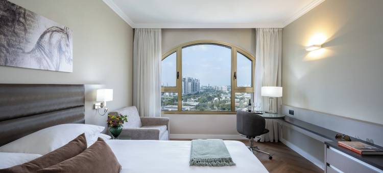 雷纳杜内格酒店(Leonardo Hotel Negev)图片