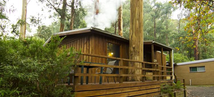 Tarra Valley精品酒店(Tarra Valley Retreat)图片