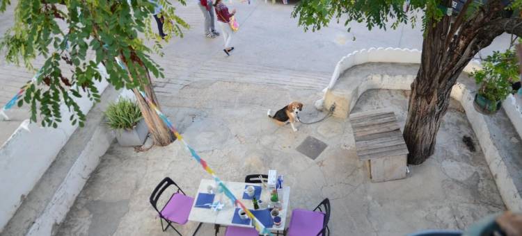 拉马夹客房酒店(La Maga Rooms)图片