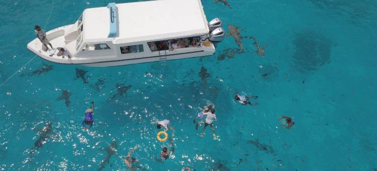 马尔代夫海洋珍珠(Ocean Pearl Maldives at Gulhi Island)图片