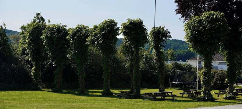 哈尔德民宿(Hald Bed and Breakfast)图片