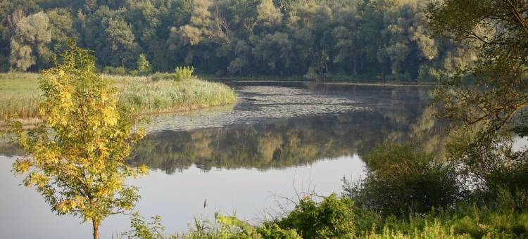 Hutterite Home Apartment - Full comfort, close to Bratislava, Vienna, and Brno.图片