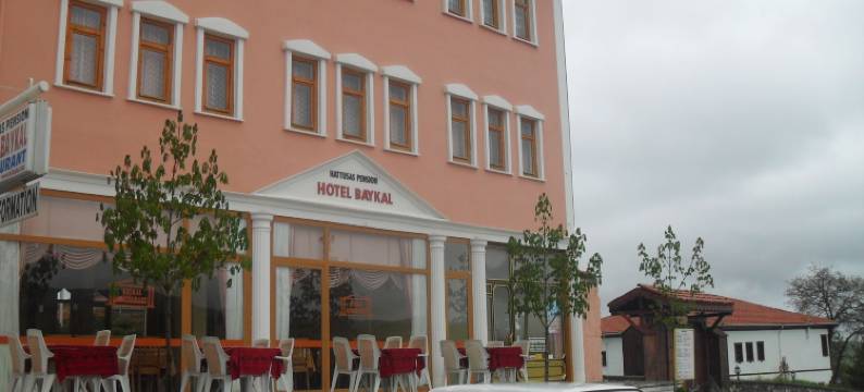 巴伊卡尔酒店(Hotel Baykal)图片