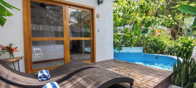 皇家孔雀之家精品酒店(Casa del Pavo Real Boutique Hotel)图片