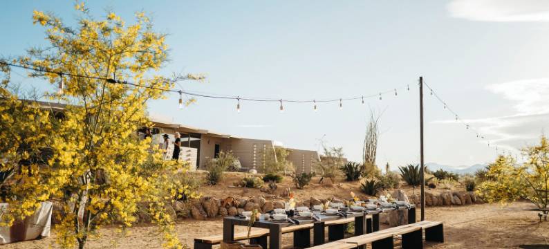 乔舒亚树退修中心的现代乡舍(The Bungalows by Homestead Modern at the Joshua Tree Retreat Center)图片