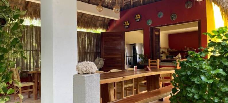 奥哈卡的蝴蝶之家(Casa Mariposa Oaxaca)图片