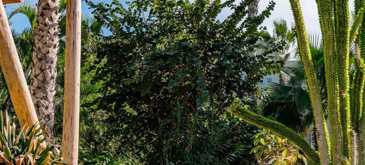 La Poza精品酒店和Spa(La Poza Boutique Hotel & Spa - Adults Only)图片