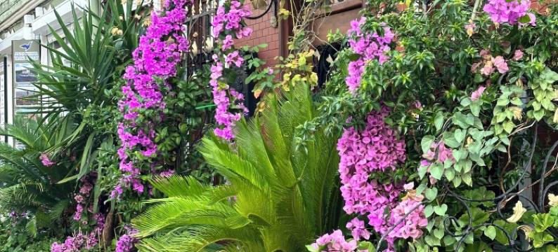 艾哈迈德伊芬迪伊芙酒店(Ahmet Efendi Evi)图片