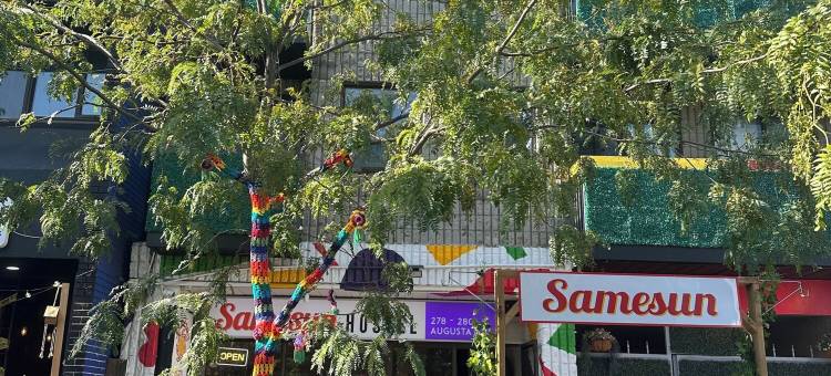 Samesun多伦多(Samesun Toronto)图片