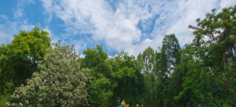 拉达提瑞精品度假村(RADATEEREE BOUTIQUE RESORT)图片