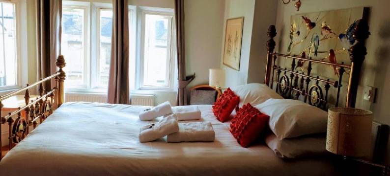 OYO 3号(OYO No. 3)图片