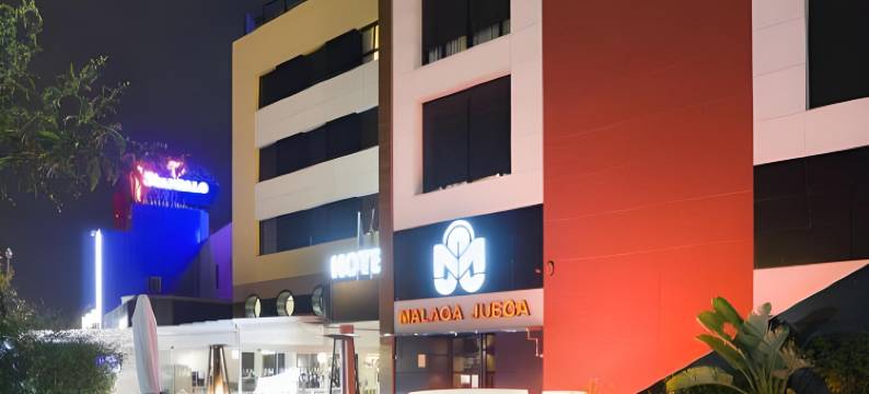 马拉加诺斯特鲁姆机场住宿(Hotel Málaga Nostrum Airport)图片