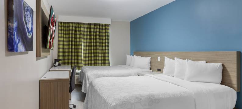 红屋顶PLUS+布鲁克林-弗拉特布什大道(Red Roof PLUS+ Brooklyn - Flatbush Ave)图片