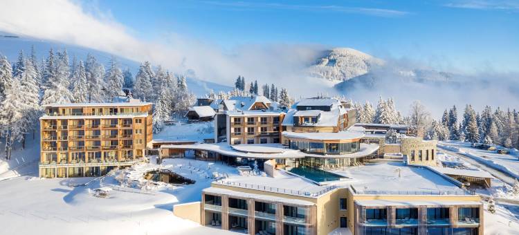 皮尔康体酒店(Almwellness Hotel Pierer)图片