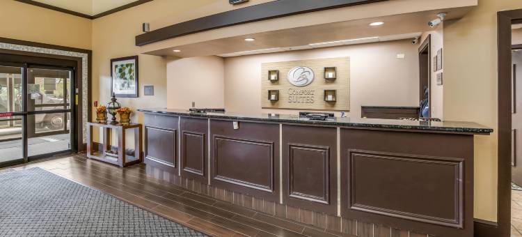 芝加哥奥黑尔机场舒适套房酒店(Comfort Suites Chicago O'Hare Airport)图片