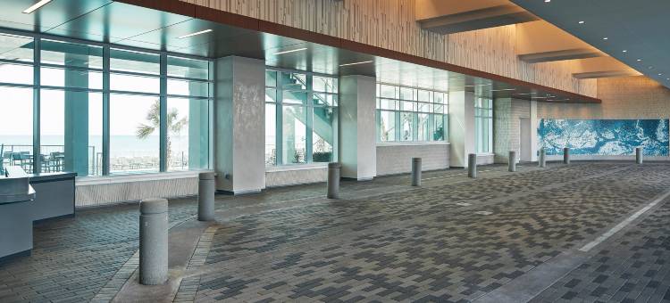 默特尔比奇海洋内飞地希尔顿分时度假俱乐部(Hilton Grand Vacations Club Ocean Enclave Myrtle Beach)图片