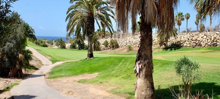 Chalet Amarilla Golf with Pool & Jacuzzi图片