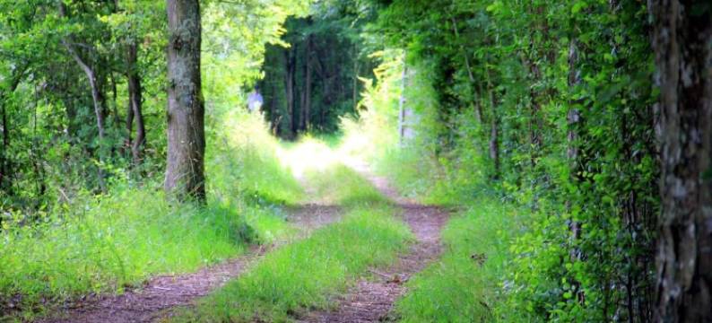 Holiday Home in Diges with Garden & Cycling图片