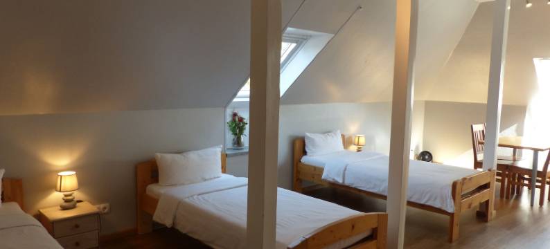 Ziemann宾馆(Pension Ziemann)图片