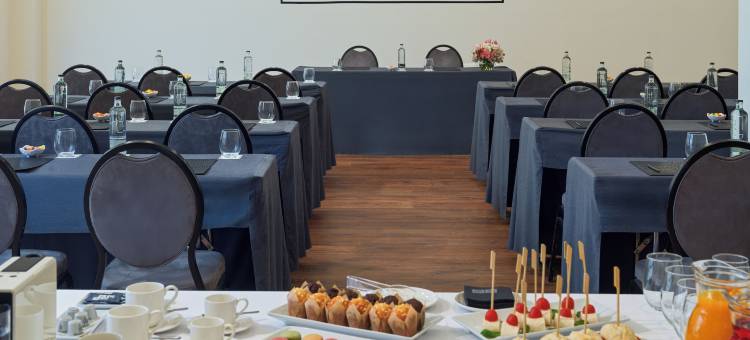 H10征服者酒店(H10 Conquistador)图片