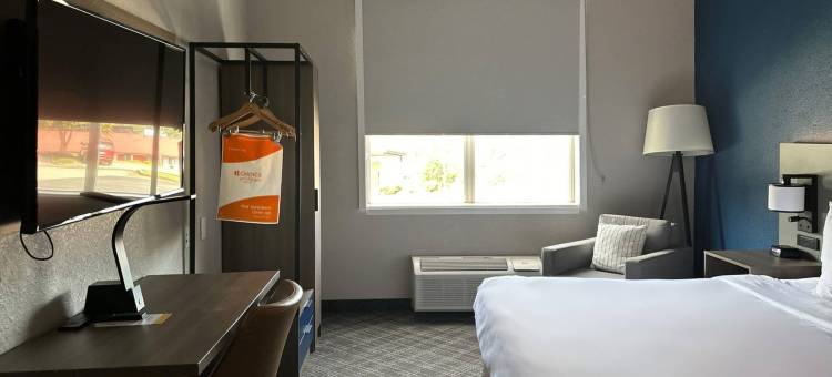 卡尔霍恩舒适套房酒店(Comfort Inn & Suites Calhoun South)图片