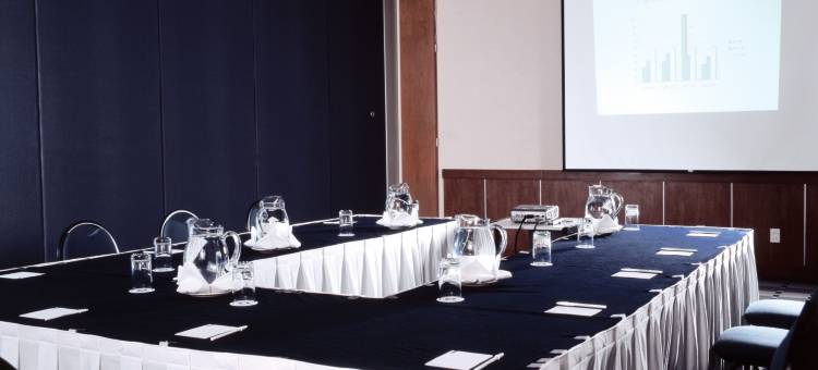 波萨里卡嘉年华酒店(Fiesta Inn Poza Rica)图片