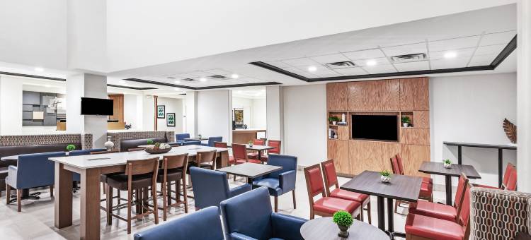 智选假日套房酒店巴吞鲁日东(Holiday Inn Express & Suites BATON ROUGE EAST by IHG)图片
