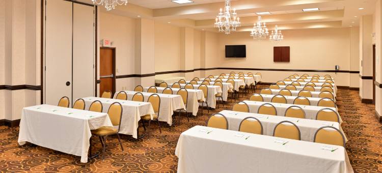 Holiday Inn 蒙哥马利机场南(Holiday Inn Montgomery Airport South)图片