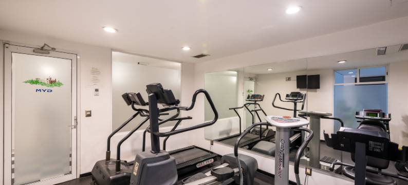 大查普尔特佩克住宅酒店(Grand Chapultepec Residencial)图片