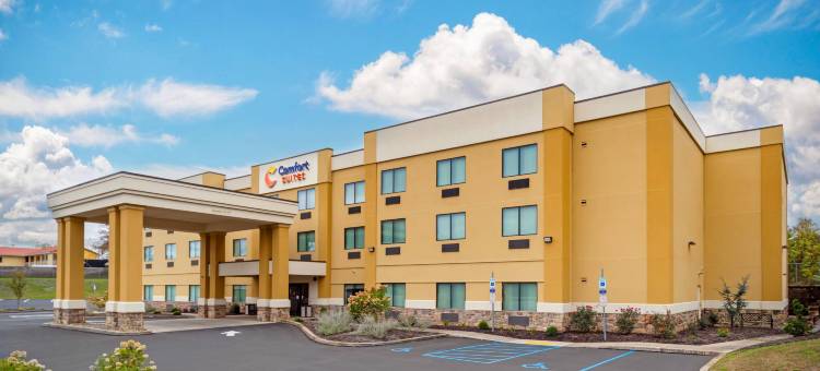 路易斯堡舒适套房酒店(Comfort Suites Lewisburg)图片