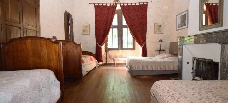 Castle near Agen with Shared Pool图片
