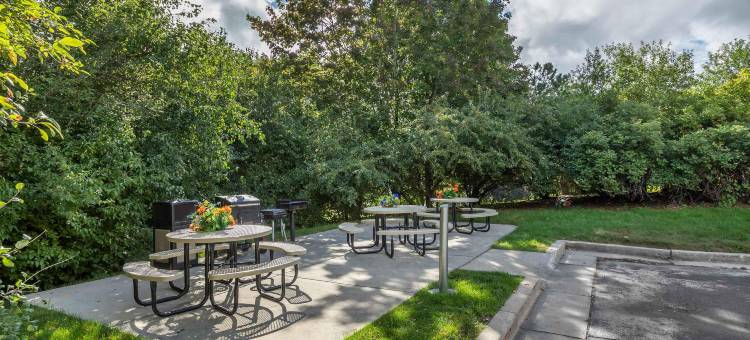 美洲长住套房酒店 - 密尔沃基 - 布鲁克菲尔德(Extended Stay America Suites - Milwaukee - Brookfield)图片