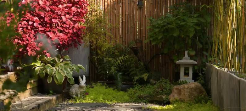 西湖己度民宿图片