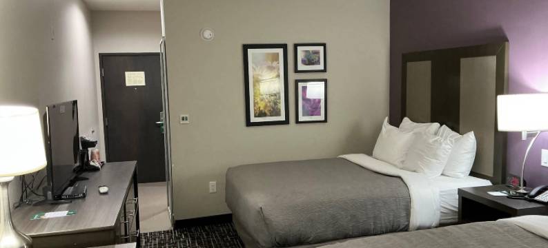 科罗拉多城，德州品质酒店及套房(Quality Inn & Suites Colorado City, TX)图片