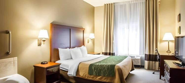 圣路易斯奥法伦舒适套房酒店(Comfort Inn & Suites St Louis-O'Fallon)图片