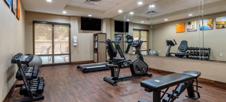 伯明翰霍姆伍德舒适酒店(Comfort Inn Birmingham Homewood)图片