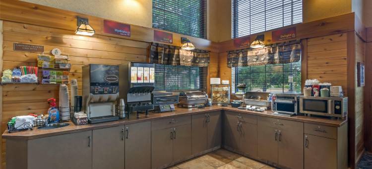 凯利贝斯特韦斯特优质套房酒店(Best Western Plus Kelly Inn  Suites)图片