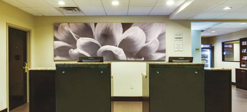 坦帕北I-75拉昆塔温德姆酒店及套房(La Quinta Inn & Suites by Wyndham Tampa North I-75)图片