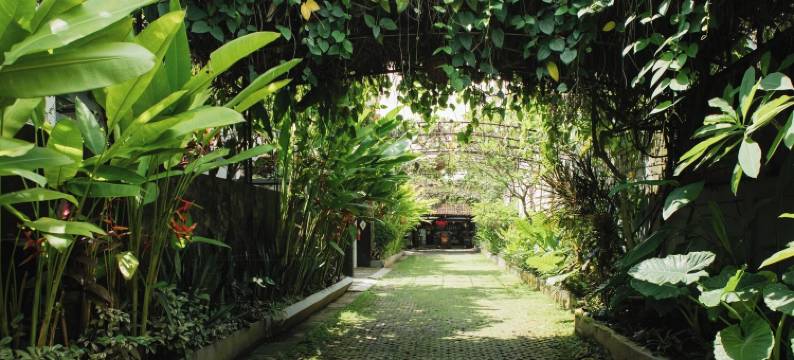 塞米亚克白莲花别墅(White Lotus Villas Seminyak)图片