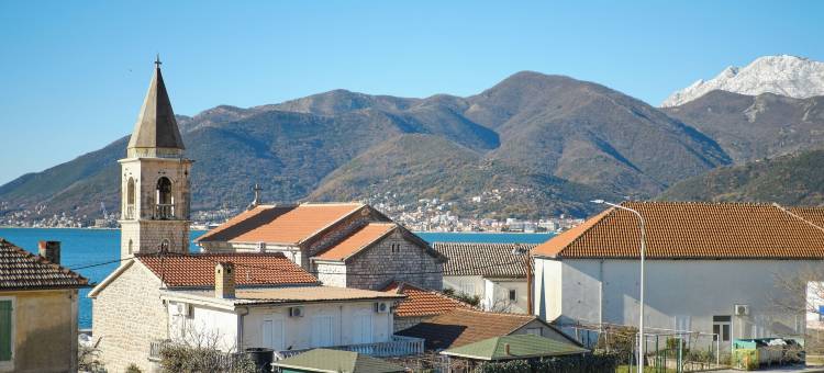 斑马(Zebra Hotel)图片