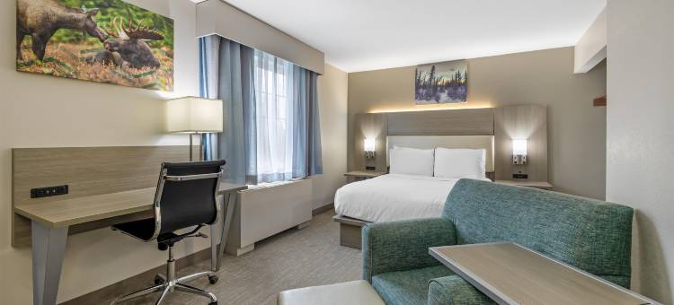 先驱者公园贝斯特韦斯特优质酒店(Best Western Plus Pioneer Park Inn)图片