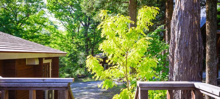 茶臼之森小木屋(Log Cottages Chausunomori)图片