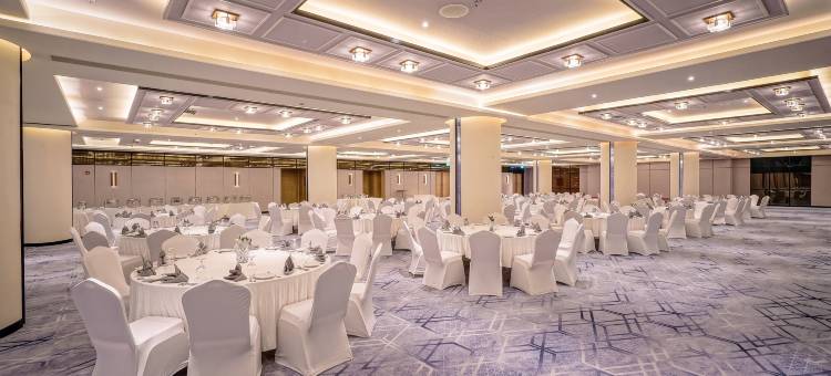达卡机场皇冠假日酒店 by IHG(Crowne Plaza Dhaka Airport by IHG)图片