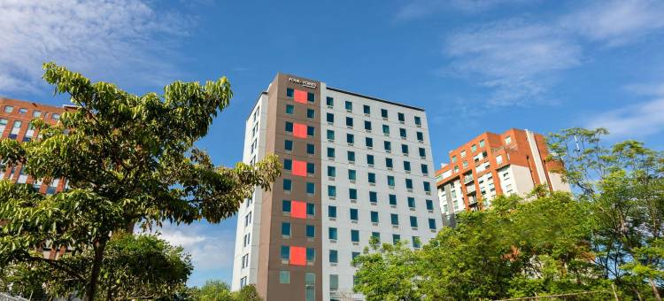 圣何塞萨瓦纳福朋喜来登酒店(Four Points by Sheraton San Jose Sabana)图片